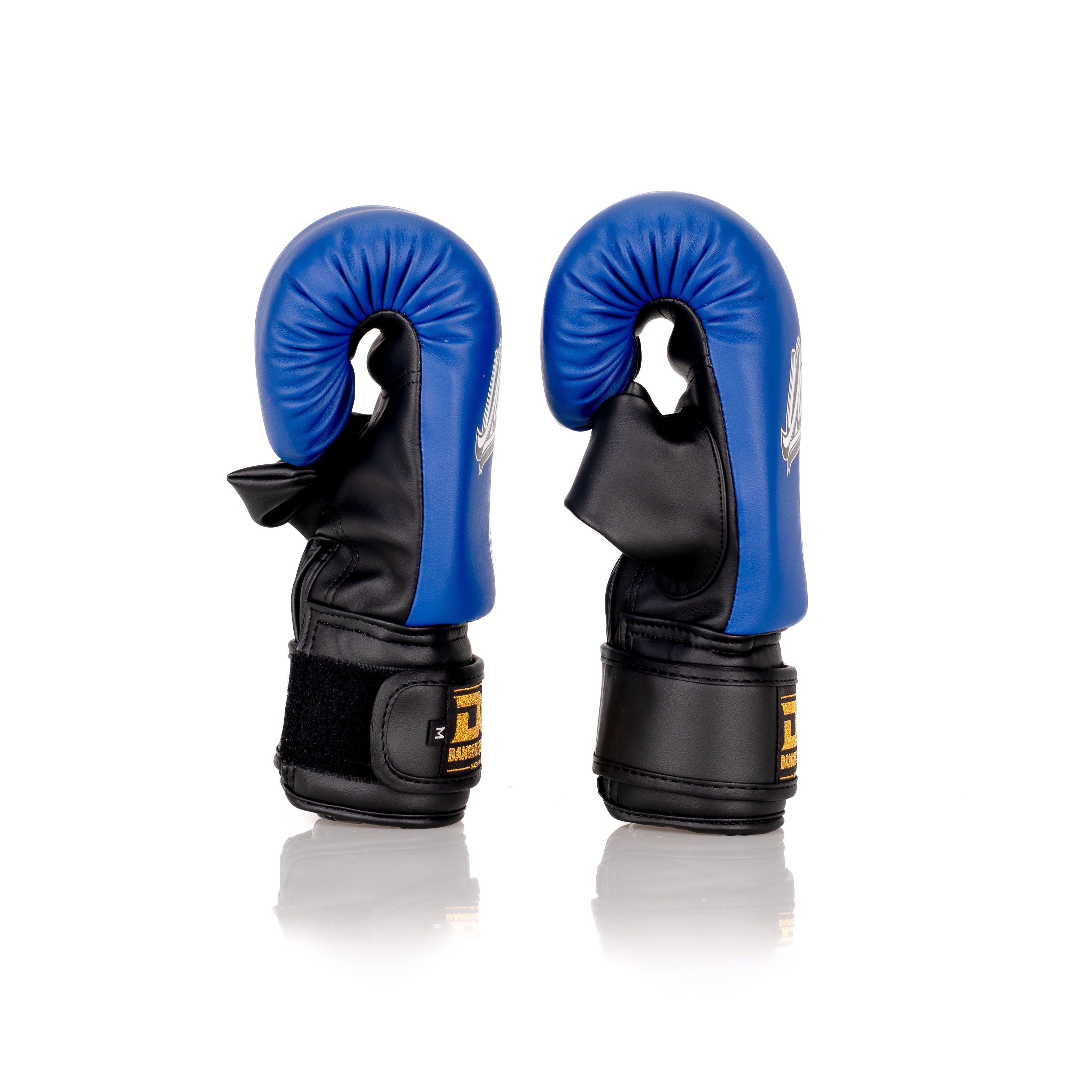 Black/Blue Danger Equipment Bag Boxing Gloves Side